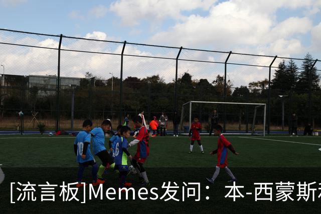 [流言板]Memes发问：本-西蒙斯和布朗尼，你觉得谁会先退役？